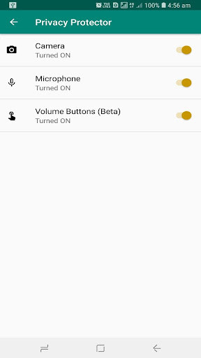 Play Privacy Protector 