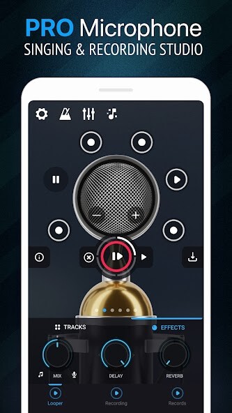 Play Pro Microphone 