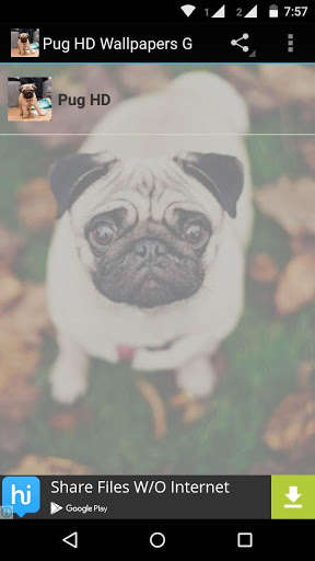 Play APK Pug Dog HD Wallpaper  and enjoy Pug Dog HD Wallpaper with UptoPlay com.myapps.PugHDWallpapersG
