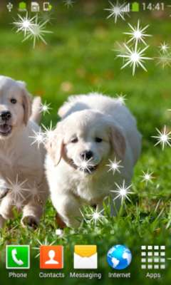 Play Puppies Live Wallpapers Play Puppies Live Wallpapers