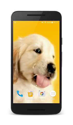 Play APK Puppy Licks Screen Video LWP  and enjoy Puppy Licks Screen Video LWP with UptoPlay puppylicksscreen.exa.com