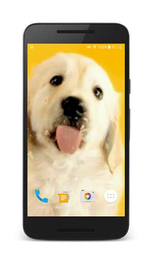 Play APK Puppy Licks Screen Video LWP  and enjoy Puppy Licks Screen Video LWP with UptoPlay puppylicksscreen.exa.com