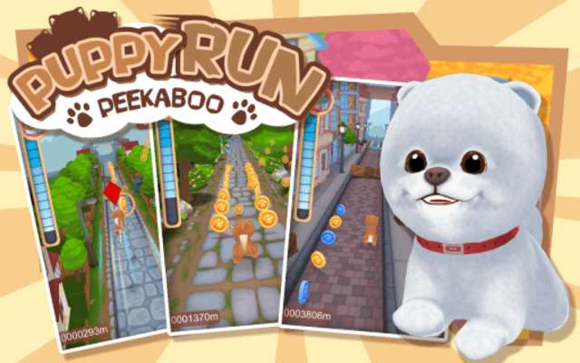 Play Puppy Run: Peeka Boo 