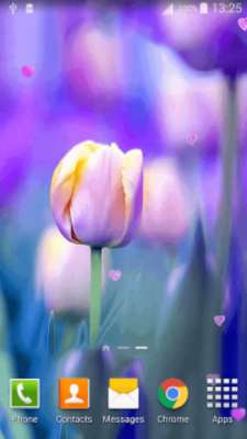 Play Purple Nature Live Wallpaper Play Purple Nature Live Wallpaper