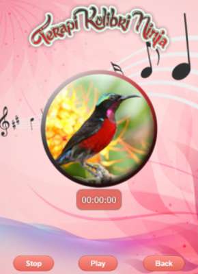 Play Purple Throated Sunbird 