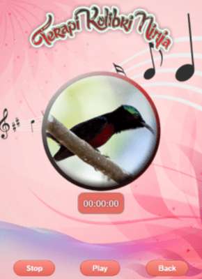 Play Purple Throated Sunbird 
