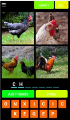 Play Quiz the name of the animal 