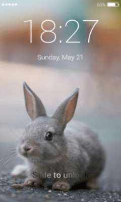 Play Rabbit Wallpaper Pro 