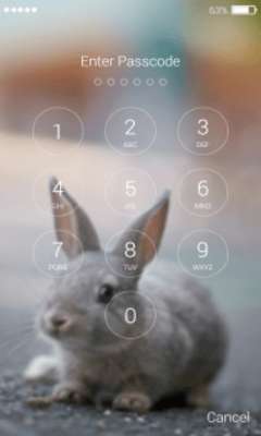 Play Rabbit Wallpaper Pro 