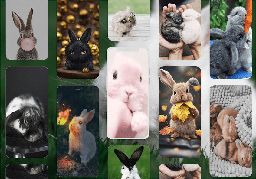 Play APK Rabbit Wallpaper  and enjoy Rabbit Wallpaper with UptoPlay com.rabbit.walllpaperapp