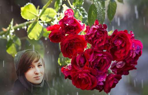 Play APK Rain Rose Photo Frames  and enjoy Rain Rose Photo Frames with UptoPlay exito.photo.frame.rainrose
