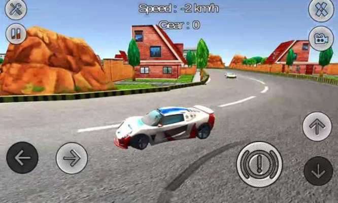 Play Real Sports Car Racing Games 