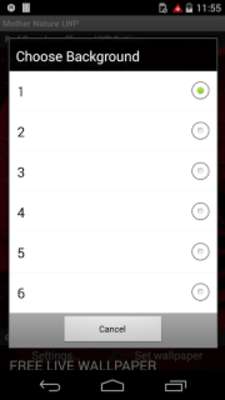 Play Red Rose Love Flower Free LWP 