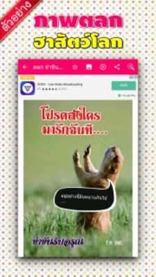 Play Relax Funny Pictures 