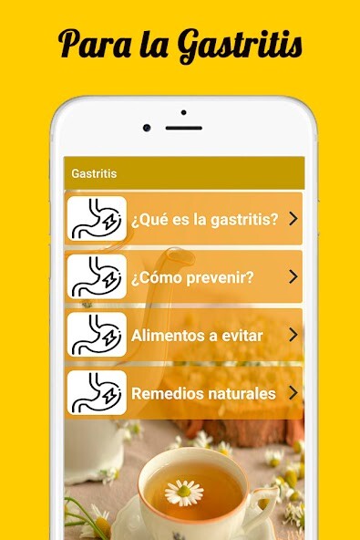 Play Remedios para la Gastritis 