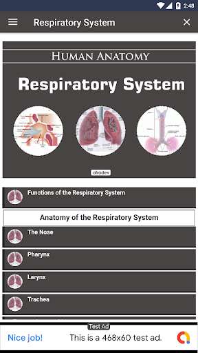 Play APK Respiratory System  and enjoy Respiratory System with UptoPlay wwk.wikikids.com.respiratorysystem