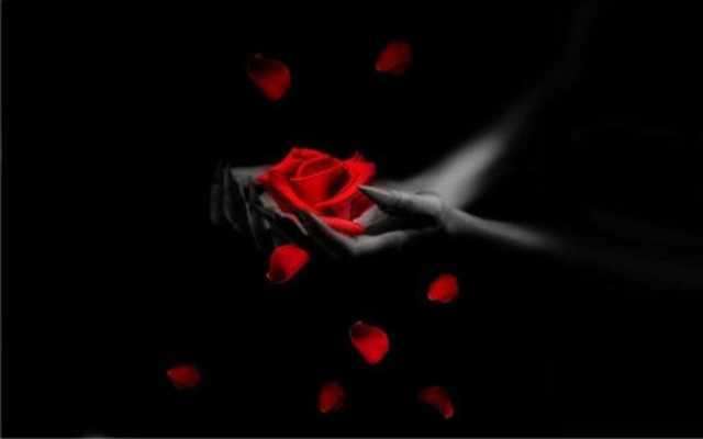 Play Rose Gothic Live wallpaper 