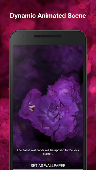 Play APK Rose Live Wallpaper  and enjoy Rose Live Wallpaper with UptoPlay com.akshar.loveroselwp