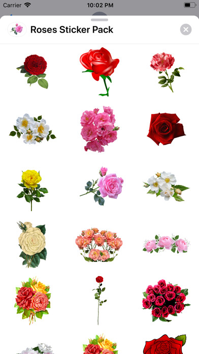 Play Roses Stickers Play Roses Stickers