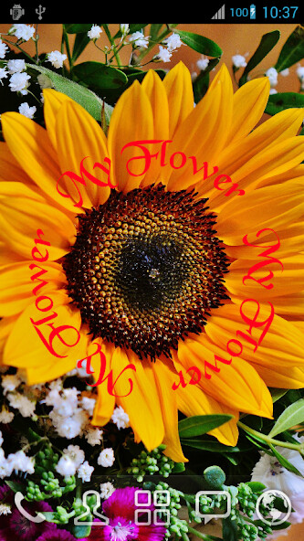 Play Rotate My Name Live Wallpaper 