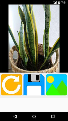 Play APK rotate pictures  and enjoy rotate pictures with UptoPlay com.rotatePictures