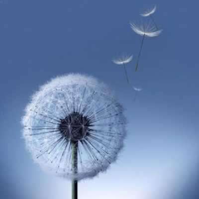 Play S3,S4,S5,S7,S8 Wallpaper Play S3,S4,S5,S7,S8 Wallpaper