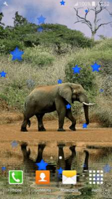 Play Safari Live Wallpapers Play Safari Live Wallpapers