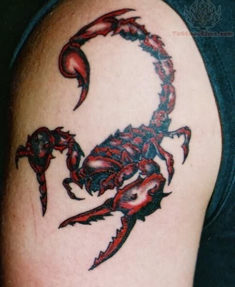 Play APK Scorpion Tattoo  and enjoy Scorpion Tattoo with UptoPlay com.scorpion.tattid.app1