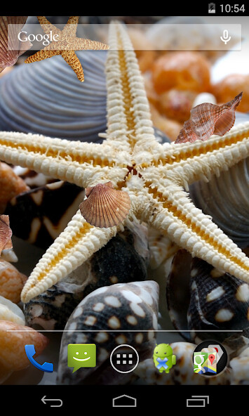Play APK Seashells Live Wallpaper and enjoy Seashells Live Wallpaper with UptoPlay com.SeashellsLiveWallpaperHDHQ Play APK Seashells Live Wallpaper and enjoy Seashells Live Wallpaper with UptoPlay com.SeashellsLiveWallpaperHDHQ