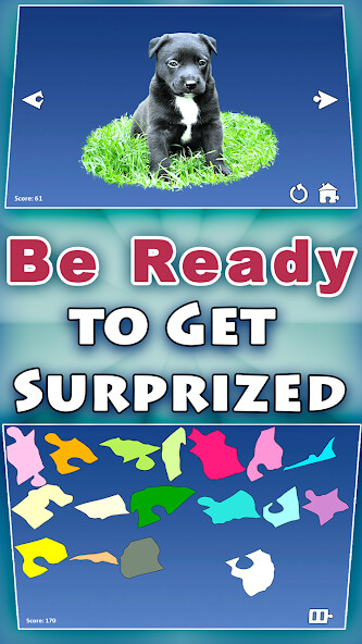 Play APK Shape Puzzles Pro - Assemble  and enjoy Shape Puzzles Pro - Assemble with UptoPlay com.netforza.shapePuzzlePro