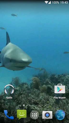 Play APK Sharks. Video Wallpaper  and enjoy Sharks. Video Wallpaper with UptoPlay sharks.tbem.com