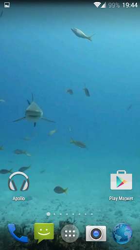 Play APK Sharks. Video Wallpaper  and enjoy Sharks. Video Wallpaper with UptoPlay sharks.tbem.com