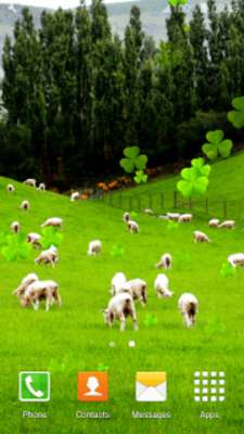 Play Sheep Live Wallpapers 