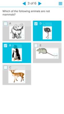 Play SMART lab: Learning Activities 