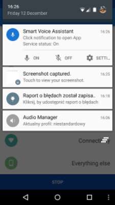 Play Smart Voice Assistant 