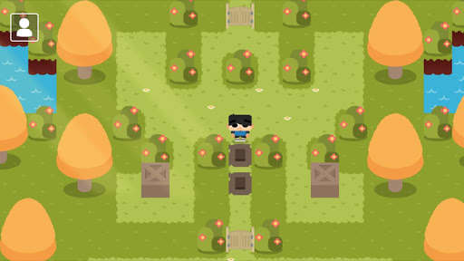 Play Sokoban Land DX 