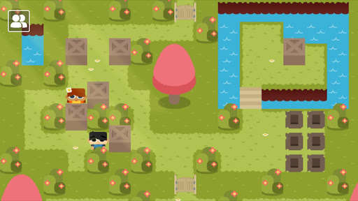 Play Sokoban Land DX 
