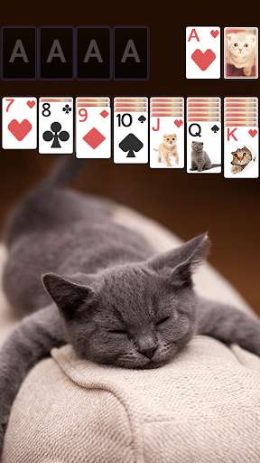 Play APK Solitaire Cute Cats Theme  and enjoy Solitaire Cute Cats Theme with UptoPlay com.hipanda.solitaire.theme.cutecats