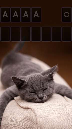Play APK Solitaire Cute Cats Theme  and enjoy Solitaire Cute Cats Theme with UptoPlay com.hipanda.solitaire.theme.cutecats