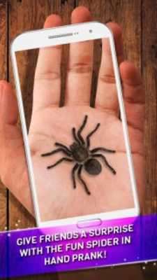 Play Spider Prank 