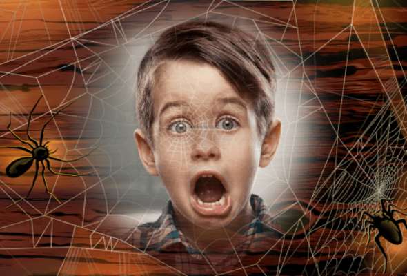 Play Spider Web Photo Frame Effects 
