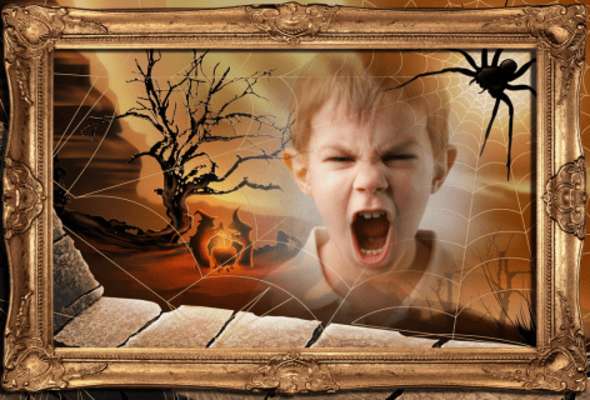 Play Spider Web Photo Frame Effects 