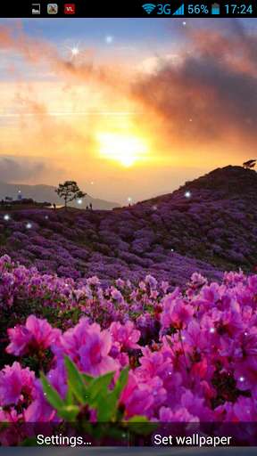 Play APK Spring Sunrise Live Wallpaper  and enjoy Spring Sunrise Live Wallpaper with UptoPlay com.hd.SpringSunriseLiveWallpaper