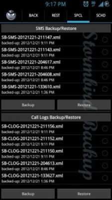 Play Stormbird Backup Pro 