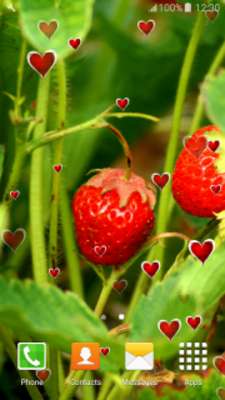 Play Strawberry Live Wallpapers Play Strawberry Live Wallpapers