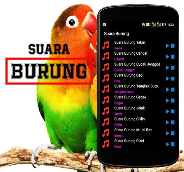 Play APK Suara Burung Kicau  and enjoy Suara Burung Kicau with UptoPlay org.binatangpeliharaan.suaraburung