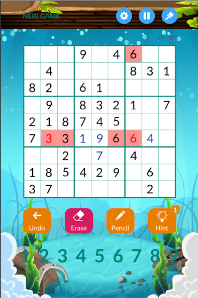 Play Sudoku Number 