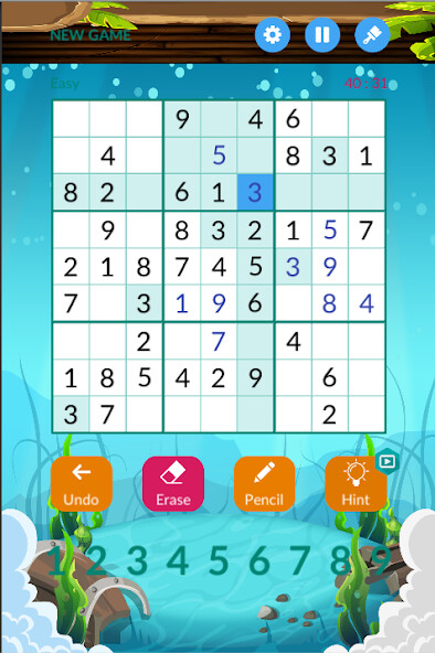 Play Sudoku Number 