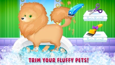 Play Sunnyville Fluffy Salon 