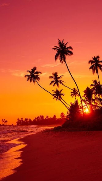Play Sunset HD Wallpapers 